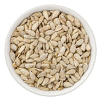 White bowl filled with sunflower seeds